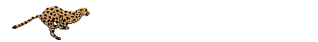 1cheetah.gif (45054 bytes)
